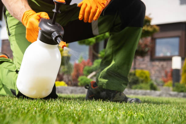 Best Mosquito Control Services  in Zanesville, OH