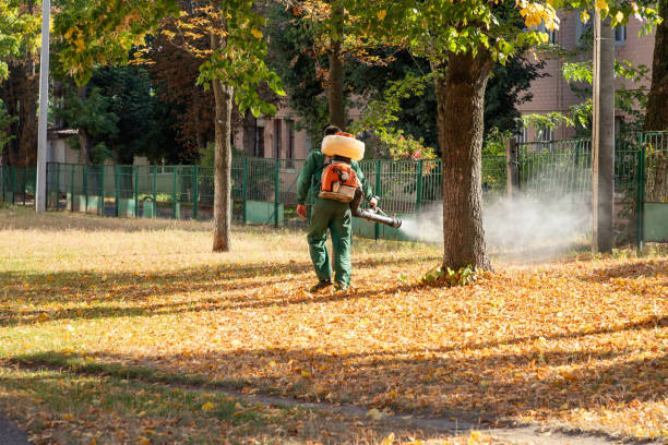 Best Ant Control Services  in Zanesville, OH