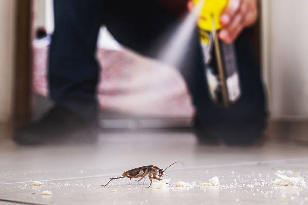 Best Affordable Pest Control Services  in Zanesville, OH