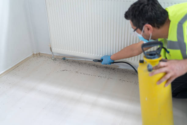 Best Ant Control Services  in Zanesville, OH