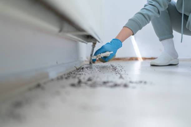 Best Wasp Removal Services  in Zanesville, OH